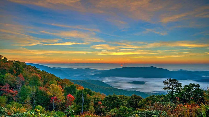 Sunrise from Cradle of Forestry overlook on Blue Ridge Parkway in North Carolina, fog, landscape, clouds, colors, trees, sky, rocks, usa, HD wallpaper