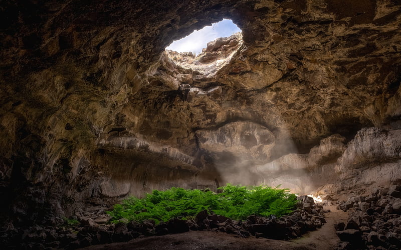 beautiful cave, hole in the ceiling, sunlight, fern, rocks, secret places, environment concepts, Earth, HD wallpaper