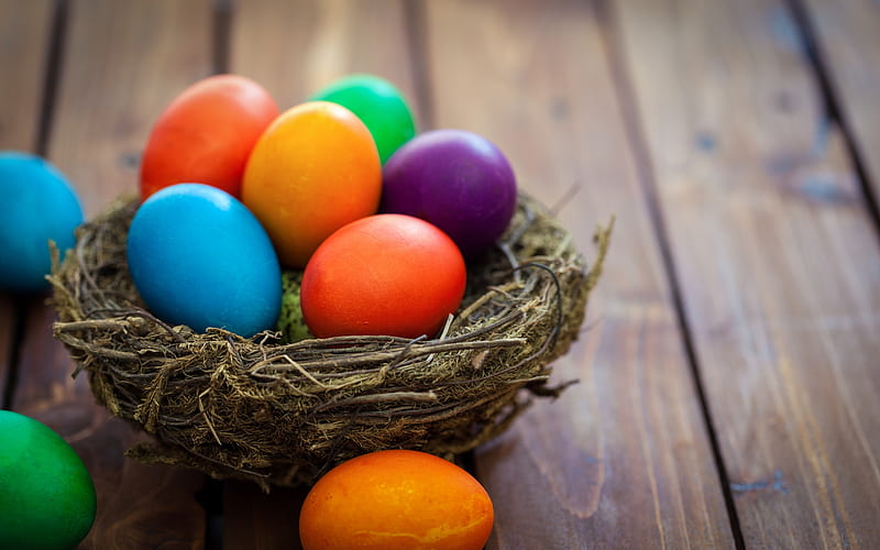 Easter eggs, colorful painted eggs, nest, Easter, decoration, HD wallpaper