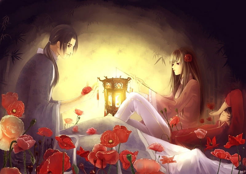 Magic Lantern, pretty, adorable, magic, women, sweet, floral, love, anime, flowers, beauty, anime girl, long hair, lovely, romance, amour, cute, oriental, lover, chinese, maiden, divine, lantern, adore, bonito, sublime, woman, blossom, hot, light, couple, gorgeous, night, female, romantic, exquisite, kawaii, girl, flower, precious, magical, lady, angelic, HD wallpaper