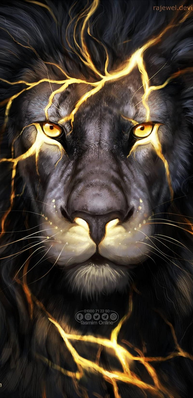 Lion, animal, black, face, lioness, lions, panther, white, HD phone wallpaper