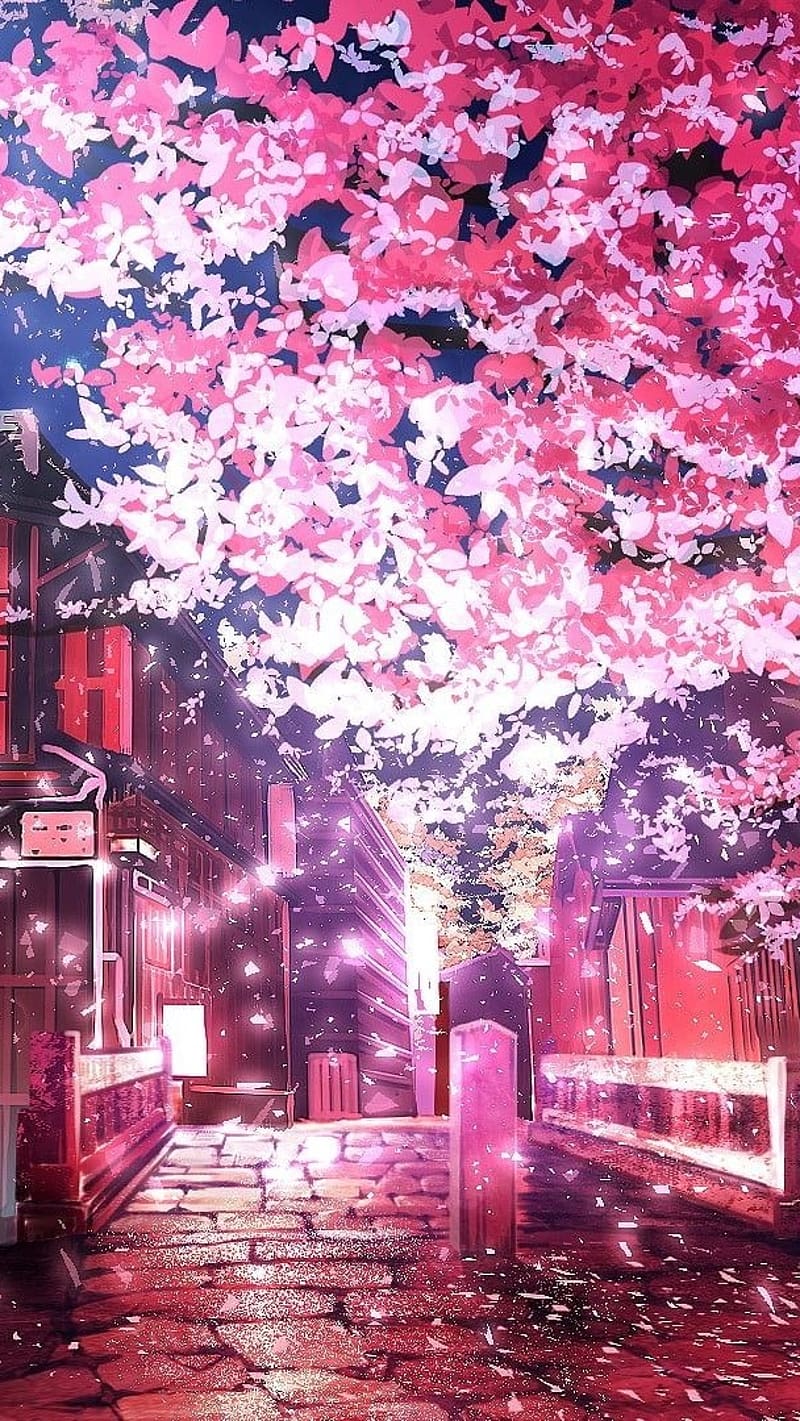 Sakura Tree, Animated, cherry blossom, pink flowers, HD phone wallpaper |  Peakpx