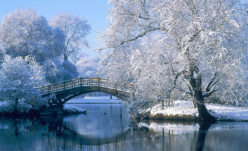 Pond Snow Ultra, Seasons, Winter, Park, Pond, Snow, Snowy, Bridge, HD wallpaper