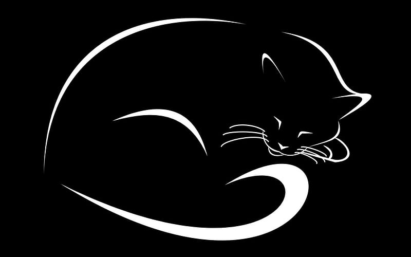 Sleeping cat, art, sleep, bw, black, white, cat, vector, pisica, HD wallpaper