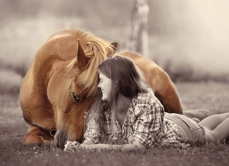 Everything will be fine, GIRL, HAPPY, HORSE, FRIENDS, HD wallpaper