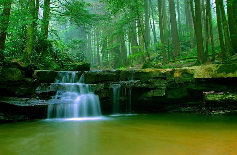 Beauty Morning At Tolliver Waterfalls, forest, green, state park, bonito, creek, trees, Maryland, HD wallpaper