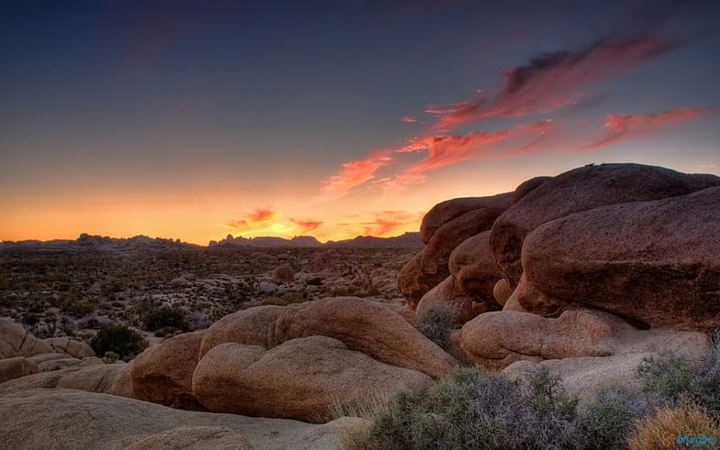 Rocky Desert Sunset, pink clouds, desert, stones, sunset, foliage, HD wallpaper