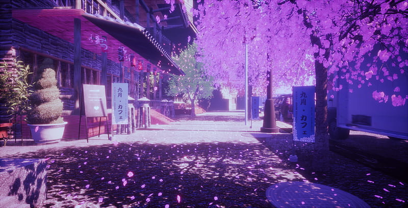 HD wallpaper: japanese cherry trees, flowers, pink, flower tree, spring,  japanese flowering cherry | Wallpaper Flare