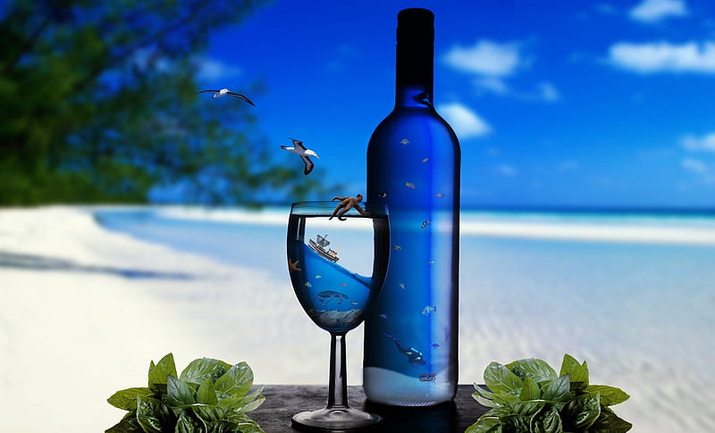 Tropical Journey, table, fish, ocean, wine, bottle, birds, turtle, trees, starfish, beach, glass, boat, sand, HD wallpaper