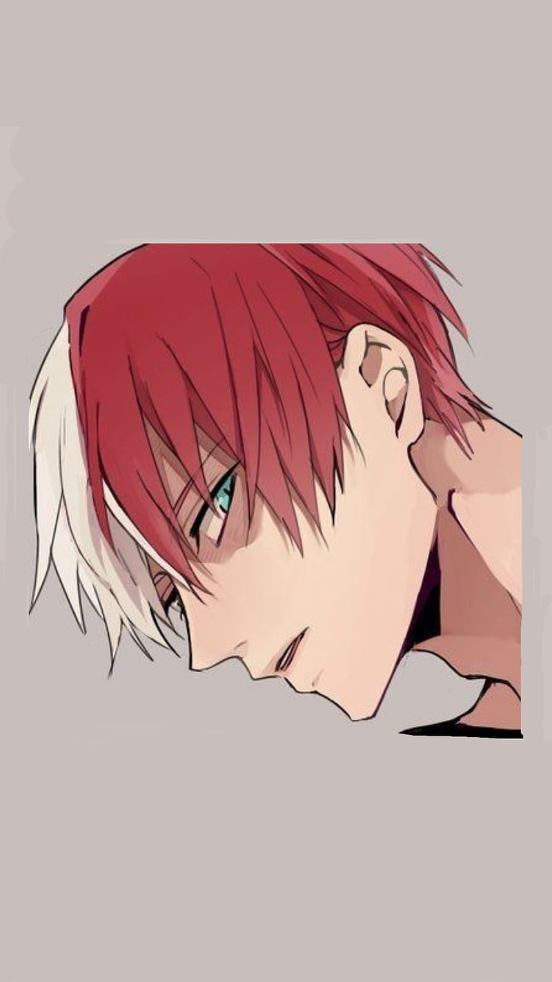 Todoroki 6, bnha, My hell Akademia, todoroki shoto, HD phone wallpaper |  Peakpx