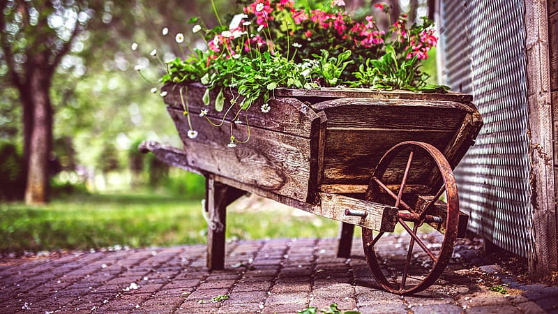 vintage wagon flower pot, flowers, stones, wagon, old, HD wallpaper