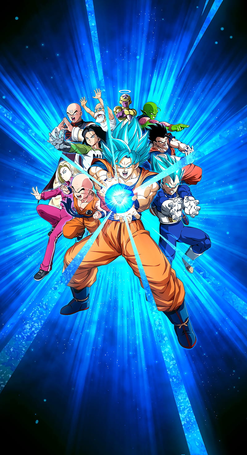 Goku and friends, dbs, dbz, dokkan, dokkan battle, dragon ball, HD phone wallpaper