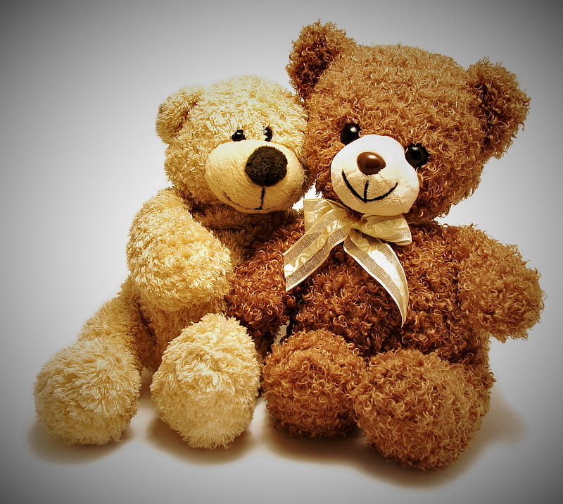 Love, teddy bear, toy, HD wallpaper | Peakpx