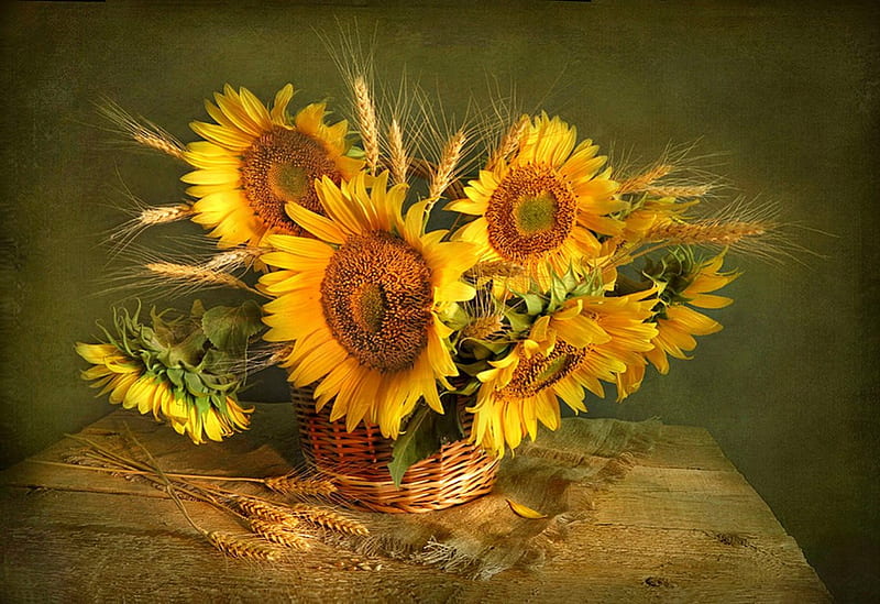Still life, pretty, lovely, vase, bonito, sunflowers, bouquet, flowers, harmony, HD wallpaper