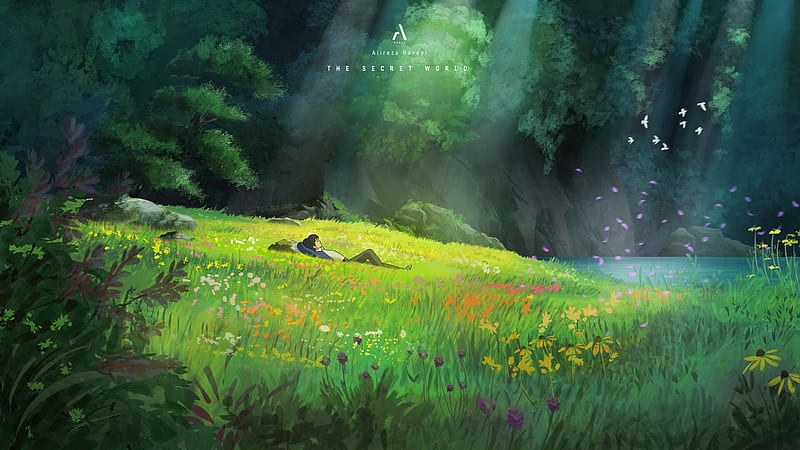 Anime, Field, Boy, Nature, HD wallpaper