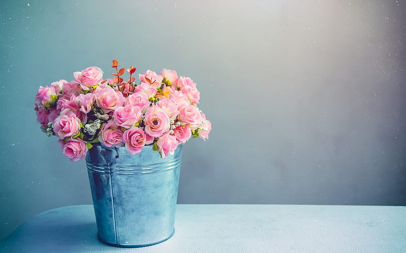 flower, pink, blue, bucket, HD wallpaper