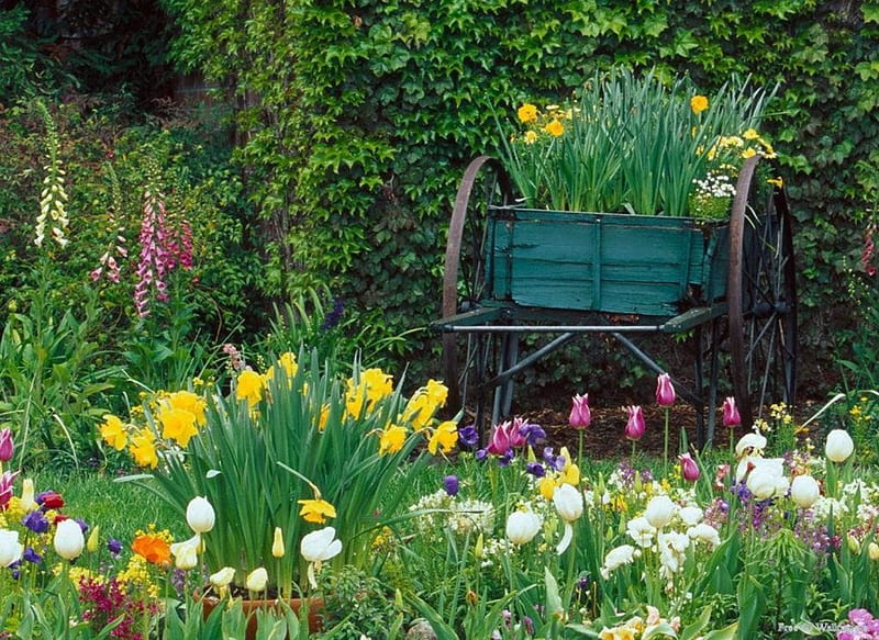 Romantic Gardens, Flowers, Gardens, Chairs, Nature, Romatic, HD wallpaper
