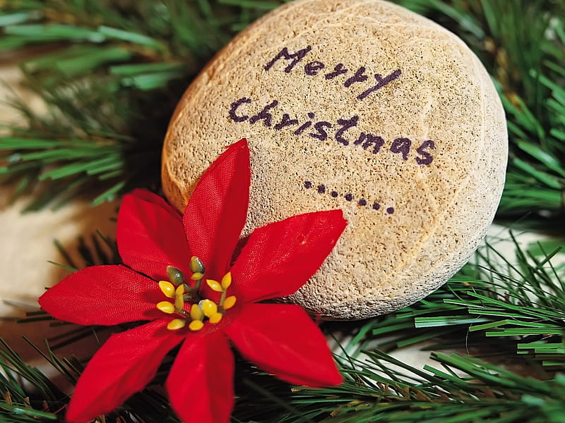 Merry Christmas, stone, christmas, green pine needles, flower, words, poinsettia, HD wallpaper