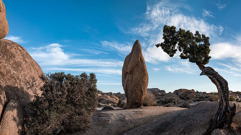 1080P free download | Penguin Rock Panorama in Joshua Tree NP