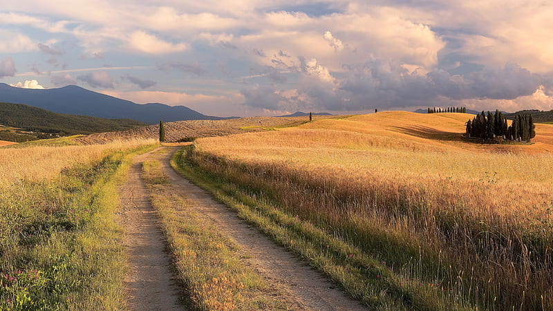 Wheat Field, amazing, autumn, clouds, farm, iphone, nature, road, sky, HD wallpaper