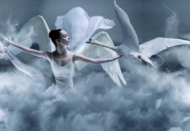 Swan, ballerina, cloud, woman, mist, fantasy, girl, bird, swan lake, smoke, white, blue, HD wallpaper