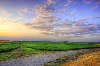 oblivion the path of dawn oblivion the path of dawn