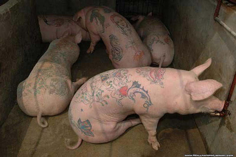 Peppa Pig Tattoo Favors