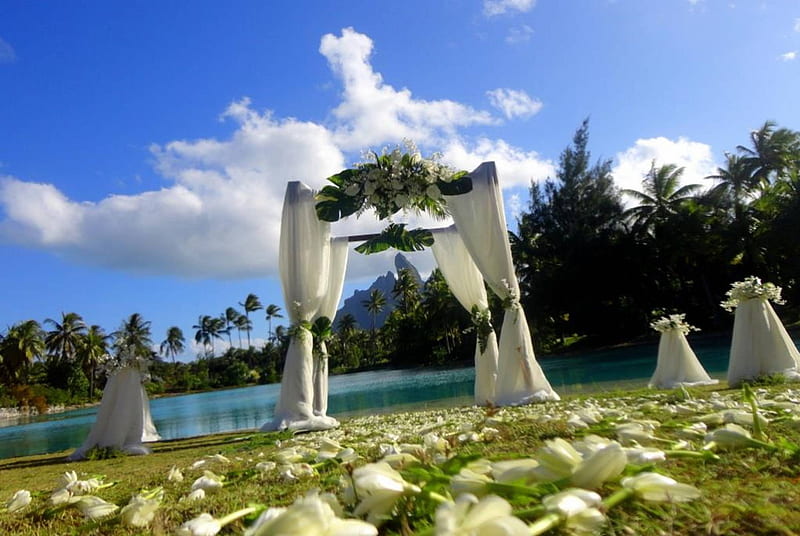 Beautiful Polynesia Beach Wedding Ceremony in Bora Bora Tahiti French Polynesia, polynesia, grass, french, volcano, sea, beach, ceremony, mountain, lagoon, bora bora, sand, tribal, cultural, flowers, polynesian, luxury, blue, desert, exotic, islands, tahitian, traditional, ocean, honeymoon, pacific, escape, wedding, south, paradise, island, tahiti, tropical, HD wallpaper