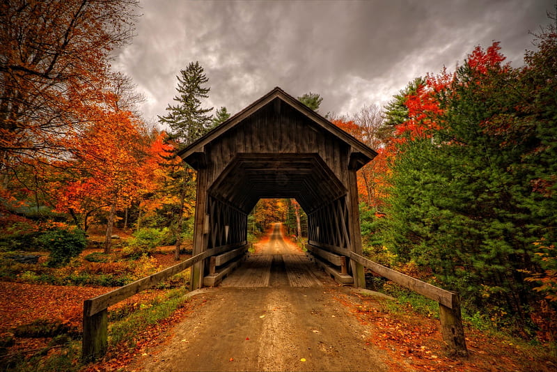 Covered Bridge In Autumn Fall Covered Bridge Trees Sky Clouds Leaves Bridge Hd Wallpaper 