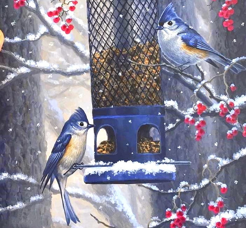 Dinner on a Cold Day, bird feed, cherries, love four seasons, birds, winter, paintings, snow, nature, bluejays, animals, HD wallpaper