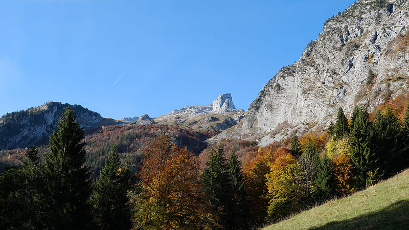 Green Yellow Red Autumn Trees Slope White Rock Mountains In Blue Sky Background Autumn, HD wallpaper