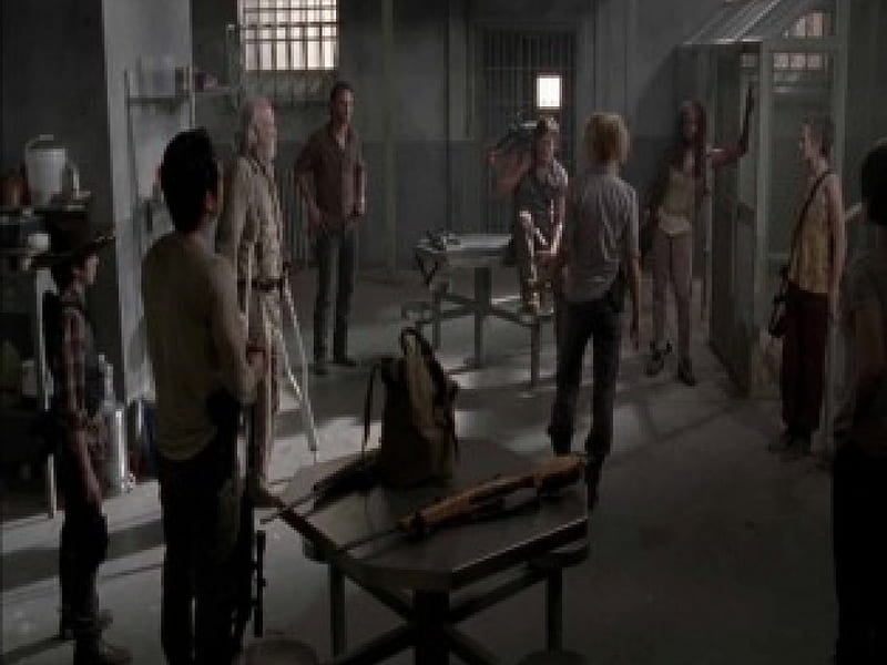 The Prison, Hershel, Glenn, Michonne, Carol, The Walking Dead, Daryl, Carl, Rick, Maggie, Andrea, entertainment, TV series, HD wallpaper