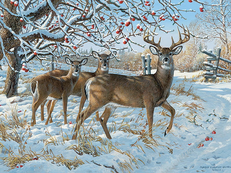 Deers, art, cerb, persis clayton weirs, caprioare, pictura, deer, iarna, winter, painting, HD wallpaper