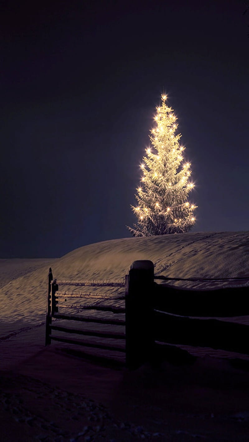 Bạn đang tìm kiếm hình nền điện thoại cho đêm Giáng sinh thêm phần lung linh và ấm áp? Đừng bỏ qua bức tranh thật đẹp về đêm Noel này đi nhé! Bạn sẽ cảm thấy hạnh phúc và bình yên khi ngắm nhìn màn hình điện thoại của mình tràn ngập ánh sáng vàng của đền Giáng sinh.