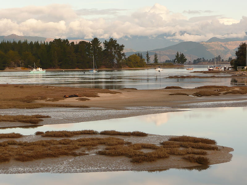 Mapua Inlet, inlet, tidal, dawn, ocean, HD wallpaper