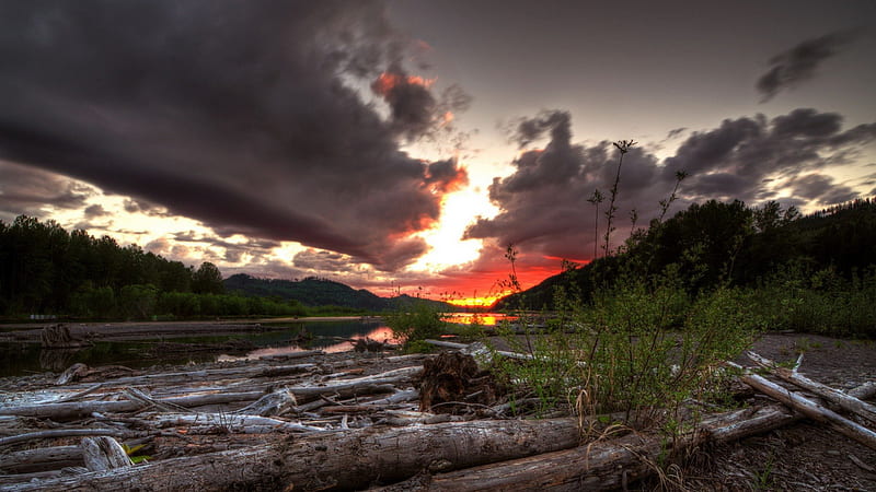 fabulous sunset over a pile of logs by a river, logs, sunset, river, clouds, HD wallpaper
