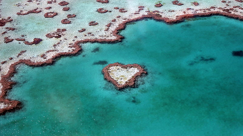 Heart Reef Australia, heart-reef, world, nature, love, art, creative, artist, HD wallpaper