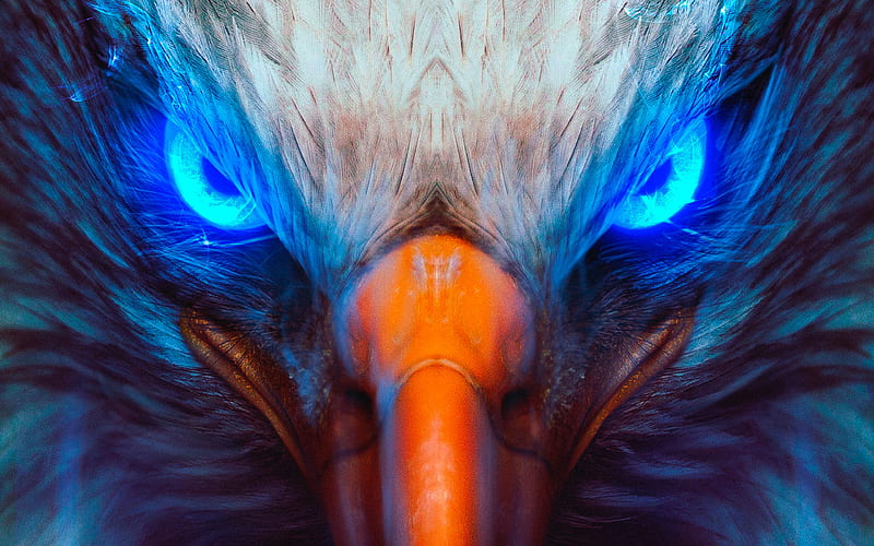 Ojos de águila, obra de arte, mirada de águila, ojos azules, creativo,  águila, Fondo de pantalla HD | Peakpx