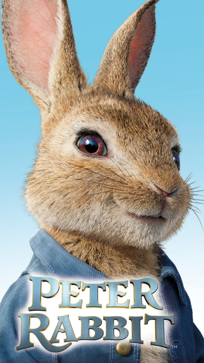 Peter rabbit, 2018, animation, bunny, humor, movie, rabbits, HD phone  wallpaper | Peakpx