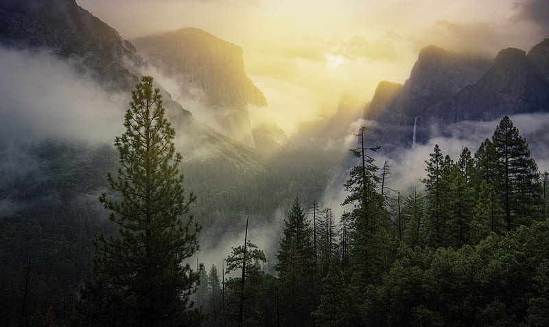 Yosemite National Park Beautiful View , yosemite, national-park, nature, HD wallpaper