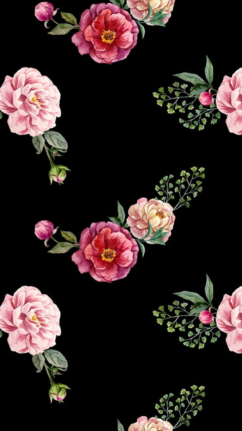 B and R, black, flower, flowers, happy, nature, nice, pink, rose,  sofija1818, HD phone wallpaper | Peakpx