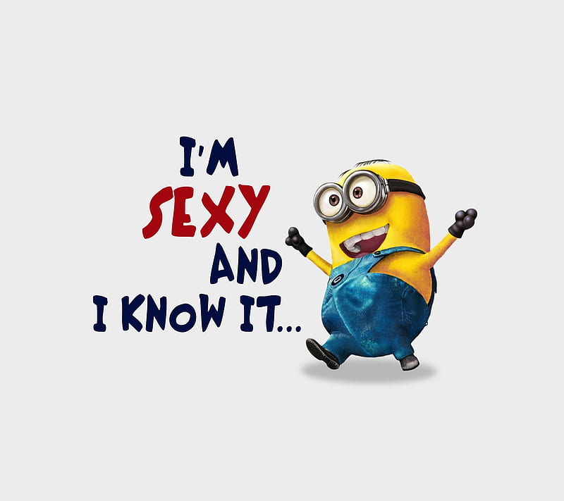 I Know It, comedy, cool, funny, girl, heart, life, love, minion, quote,  saying, HD wallpaper | Peakpx