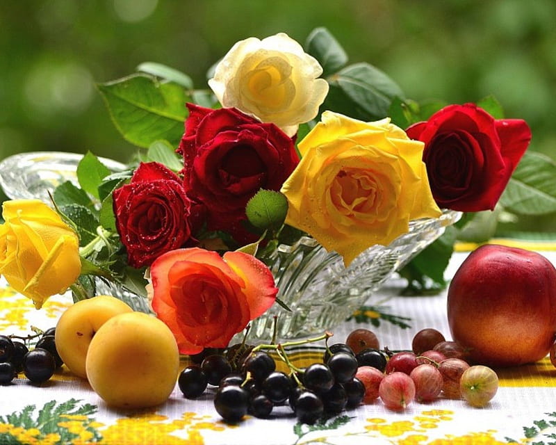 Still Life, fruets, berries, fruits, flowers, nature, roses, bowl, HD wallpaper