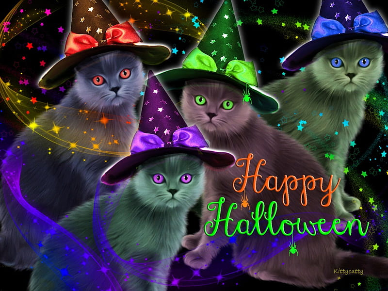 ☻ Ready for Halloween Party ☻ , stars, halloween party, hats, happy halloween, cat, spider, witchy hats, cute, dark, party, eyes, cats, animals, HD wallpaper