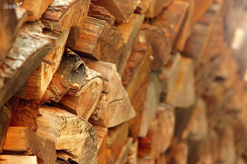 Crisp Wood, fire, fireplace, firewood, forestry, logs, lumberjack, timber, trees, wooden, HD wallpaper