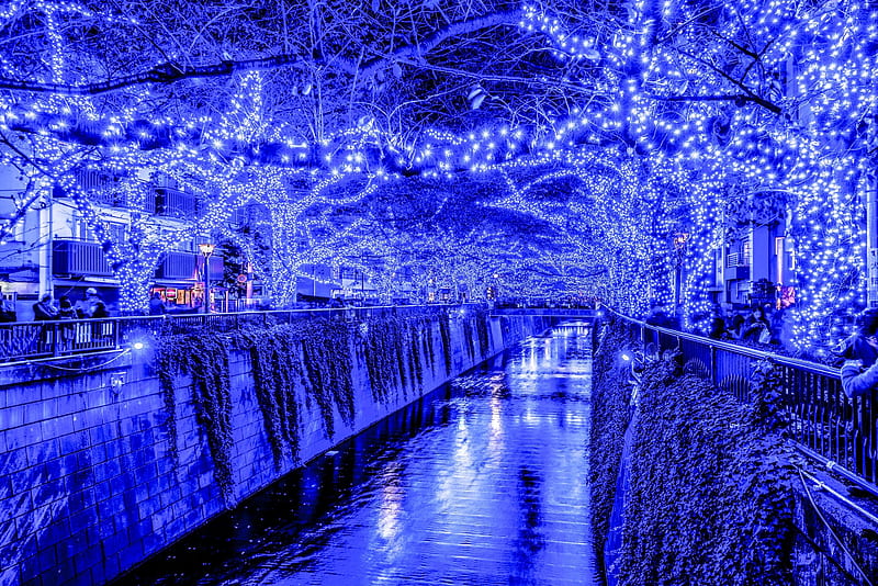 japan, tokyo, canal, blue lights, people, night, City, HD wallpaper