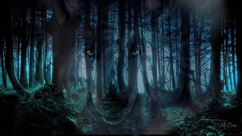 Wolf Tribute, forest, woods, wolf, twilight, eerie, trees, blue, HD wallpaper