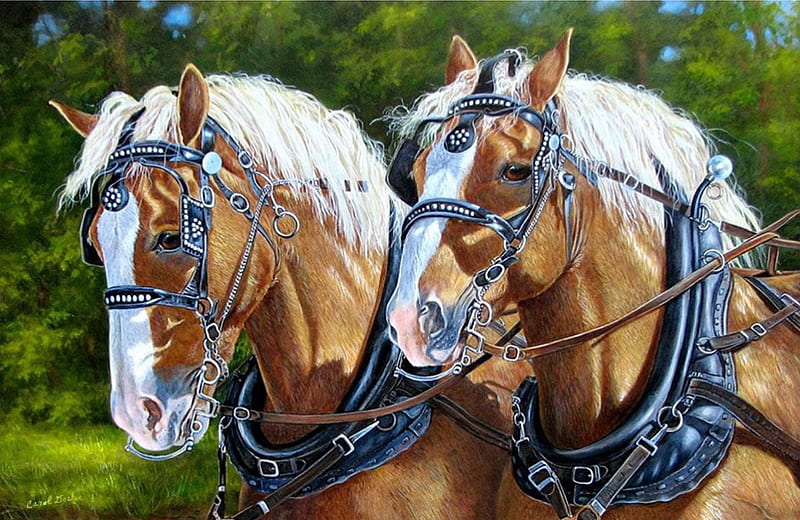 Cart Horses, heads, headgear, painting, portrait, artwork, HD wallpaper