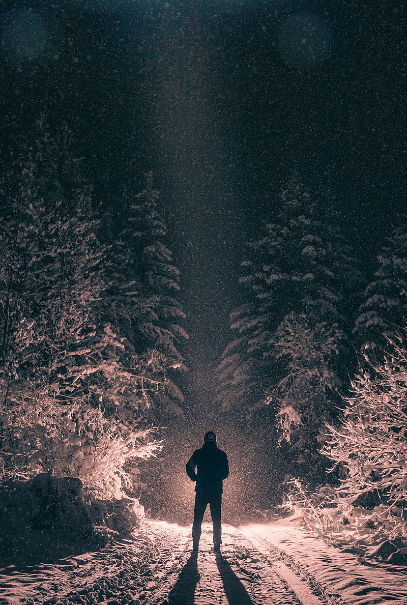 man, alone, light, snow, winter, forest, dark, HD phone wallpaper