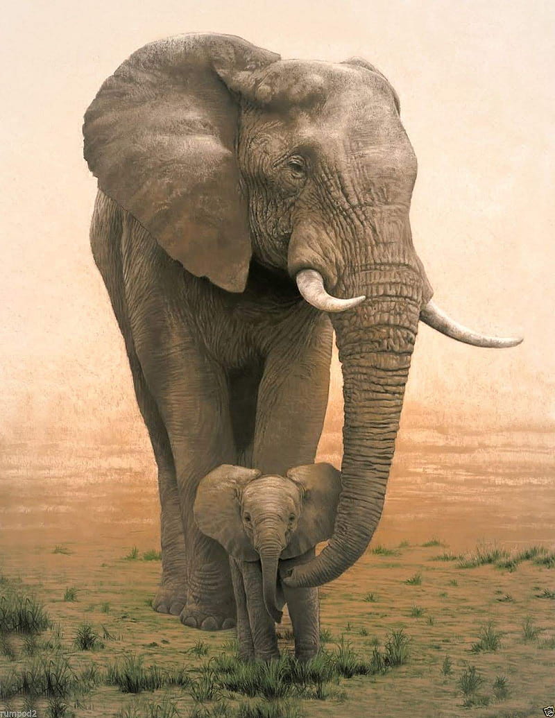 Momma and baby, elephant, mamma and baby, HD phone wallpaper